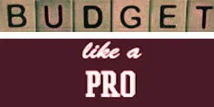 tips-budget-professionally