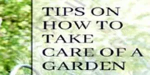 tips-maintaining-garden